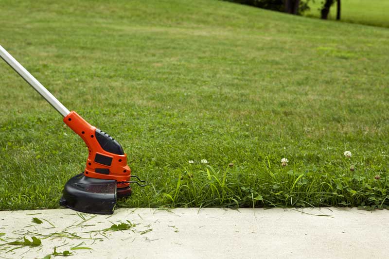 Lawn Cutting Services Lawn Cutting Services