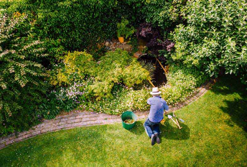 Residential Landscaper Residential Landscaper