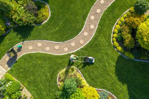Learn More About Lawn Cutting Yard Maintenance