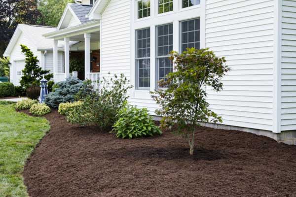 Learn More About Soft Washing